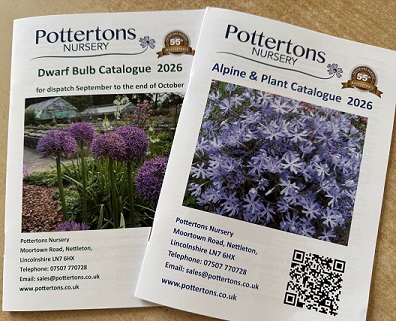 2026 Catalogues to UK